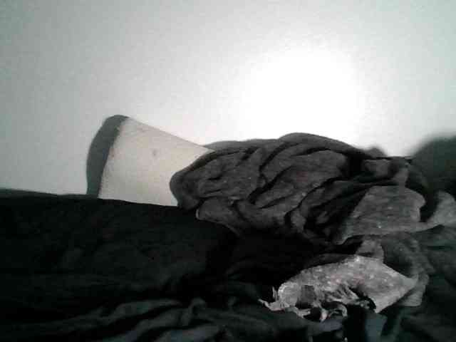 Daszler webcam