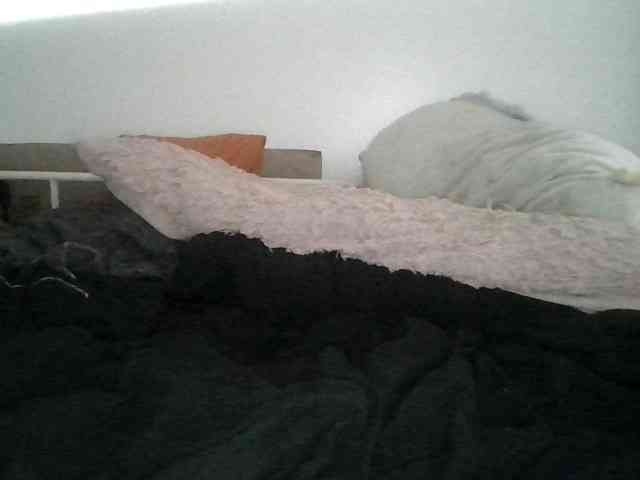 Daszler webcam