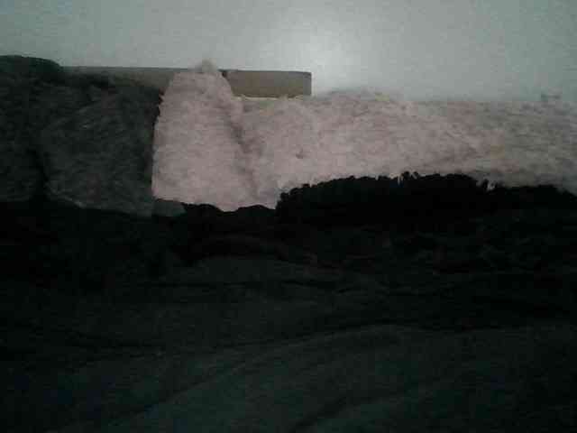 Daszler webcam