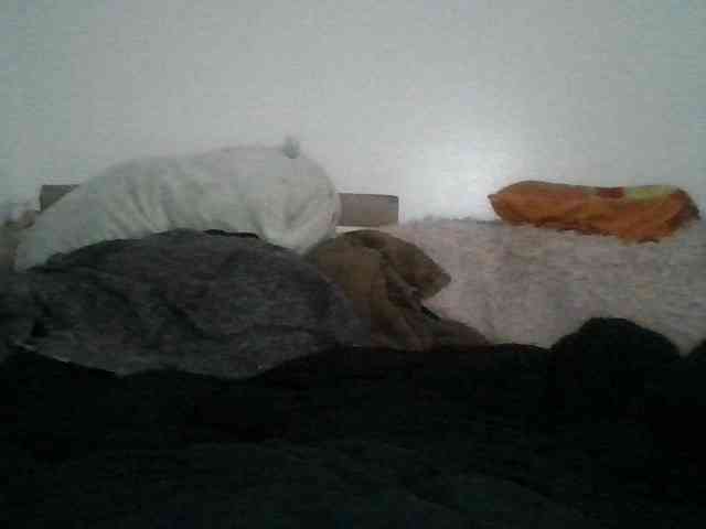 Daszler webcam