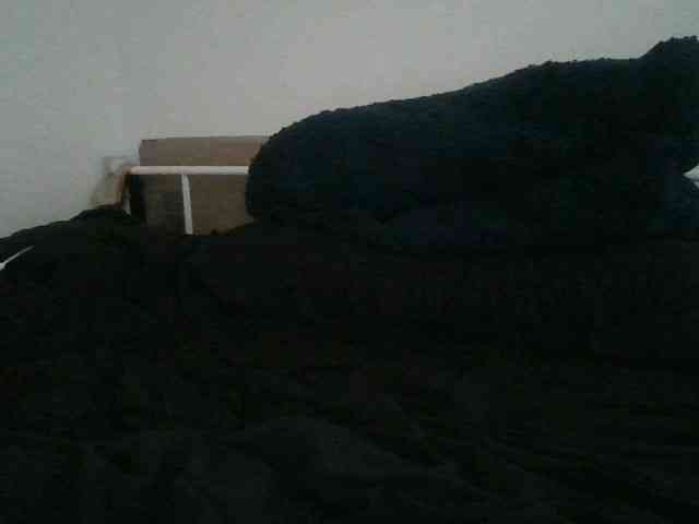 Daszler webcam