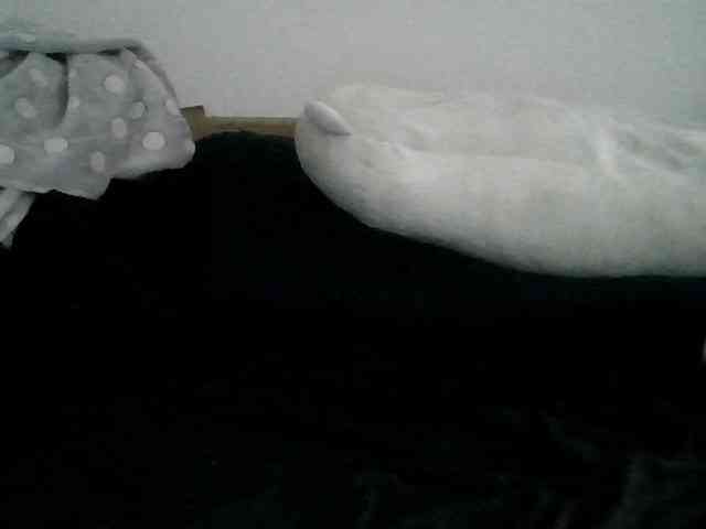 Daszler webcam
