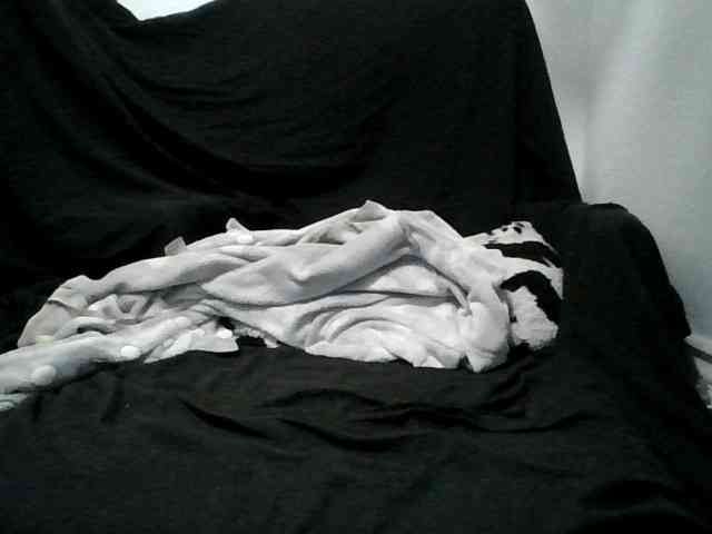 Daszler webcam