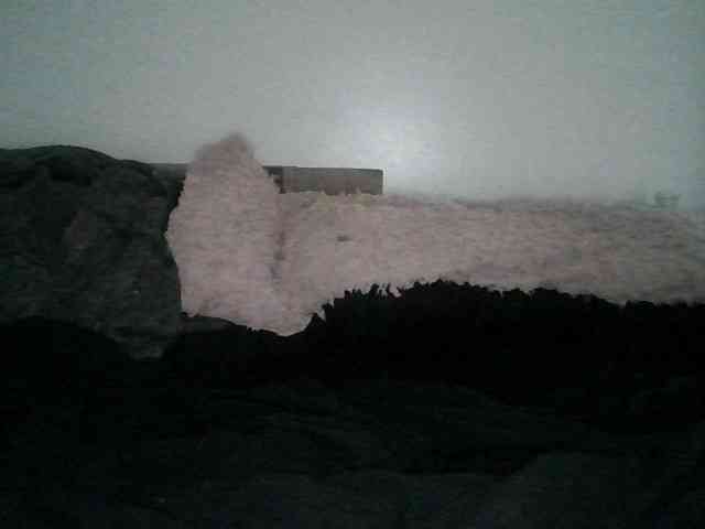 Daszler webcam