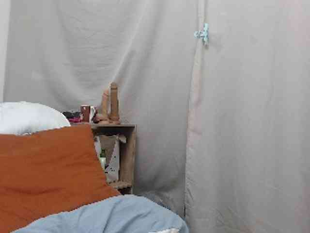 desirmiss webcam