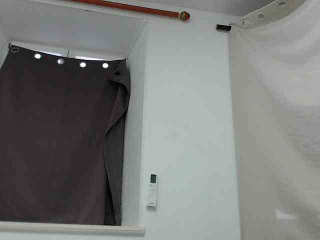 desirmiss webcam