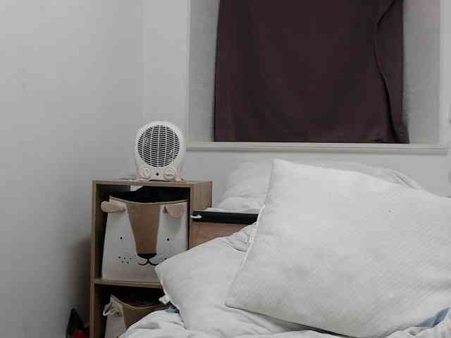 desirmiss webcam