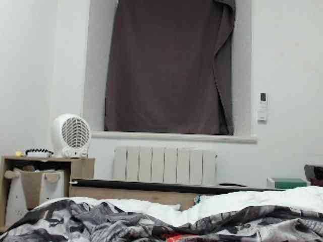 desirmiss webcam