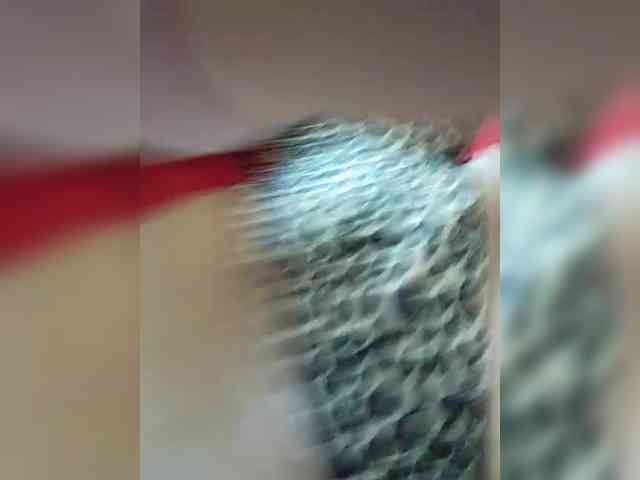 Merime79 webcam