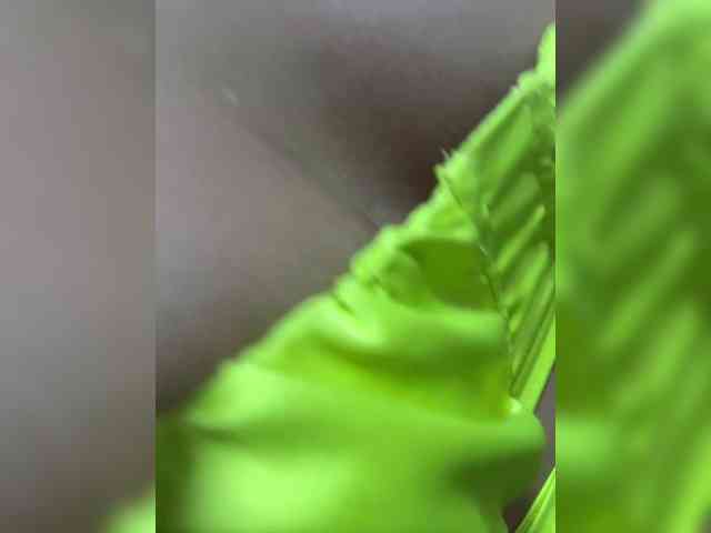 NathalieSwan webcam