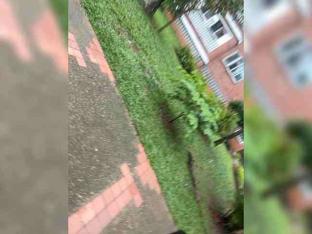 AprilHill webcam