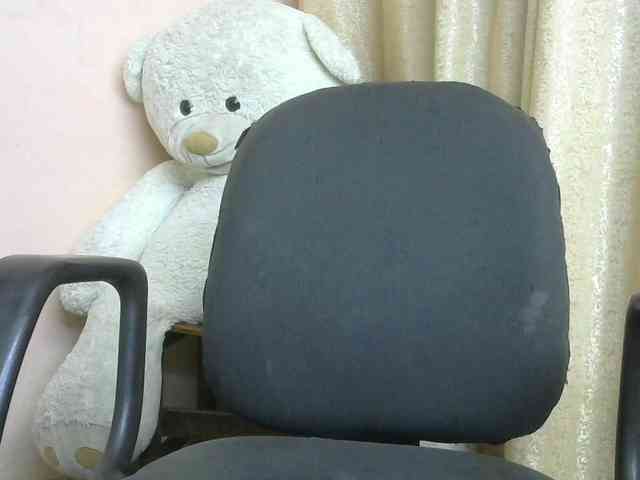 Katty-12 webcam