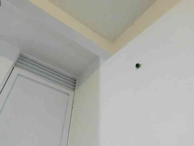 violeta-thequeen webcam