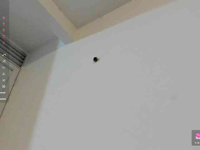 violeta-thequeen webcam