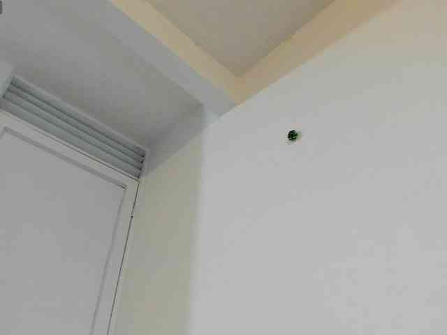 violeta-thequeen webcam