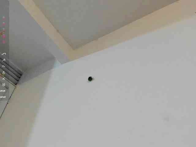 violeta-thequeen webcam