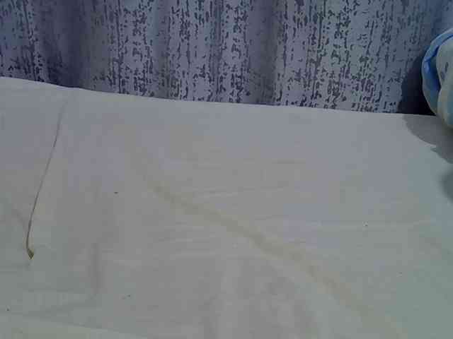 Sweetvine webcam