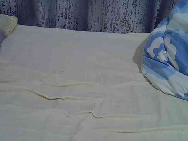 Sweetvine webcam