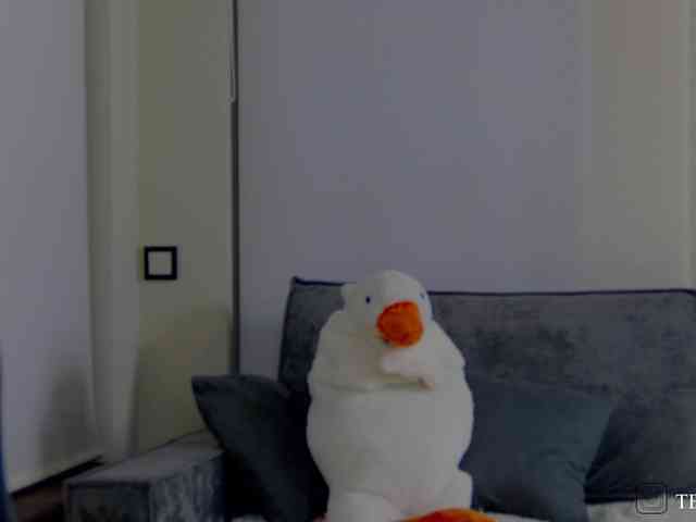 Teossa- webcam