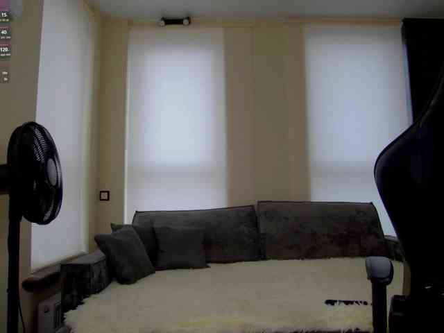 Teossa- webcam