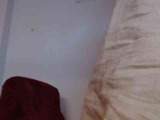 ImPolina webcam