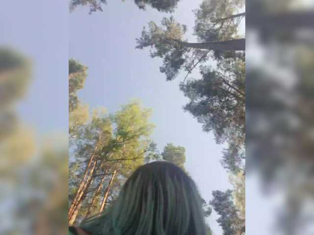 SunshineSweet