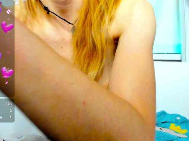 Beellami webcam