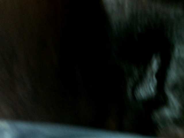 SweetMellowX1-1's BongaCams show and profile