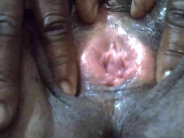 SweetMellowX1-1 webcam