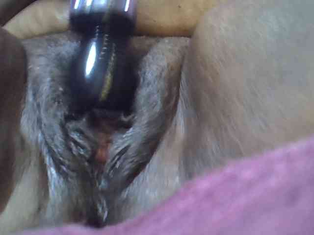 SweetMellowX1-1 webcam