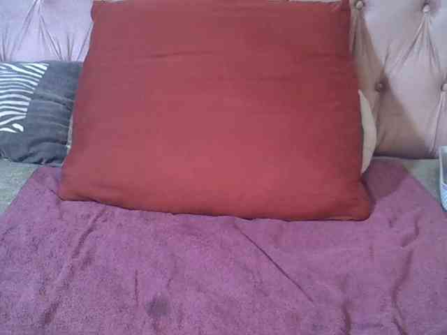 SweetMellowX1-1 webcam