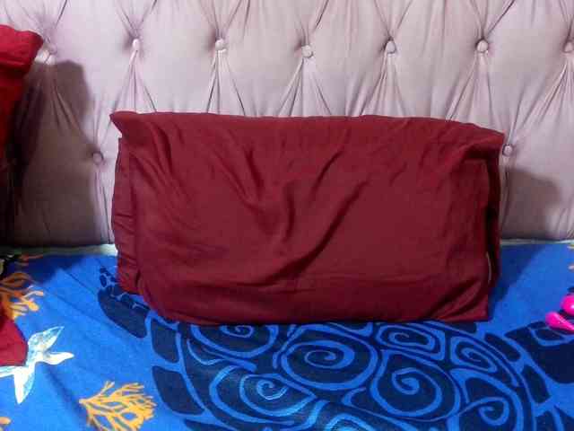 SweetMellowX1-1 webcam