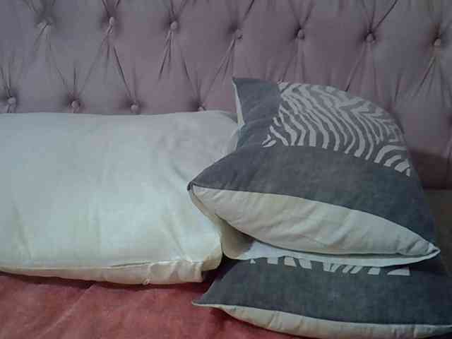 SweetMellowX1-1 webcam