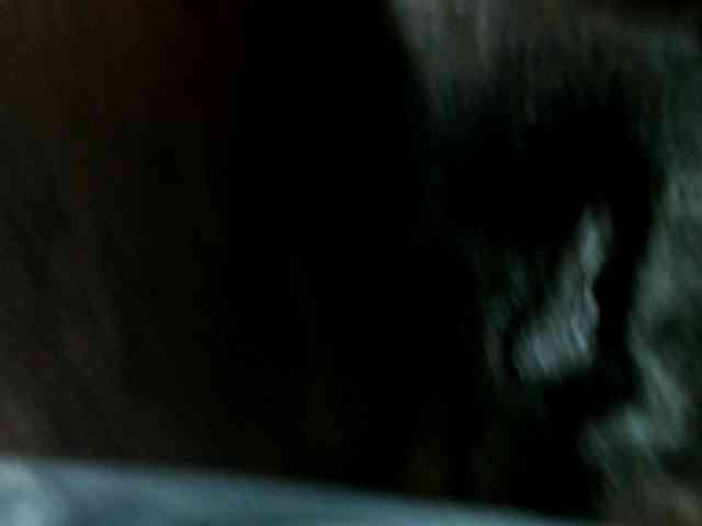 SweetMellowX1-1 webcam