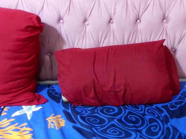 SweetMellowX1-1 webcam