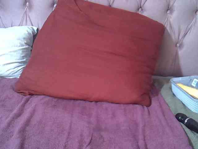 SweetMellowX1-1 webcam