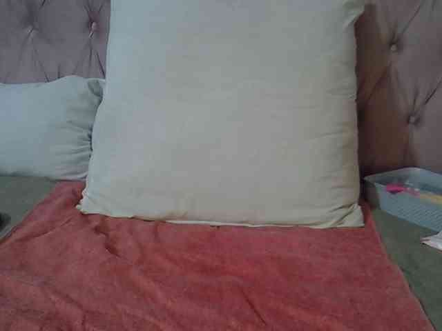 SweetMellowX1-1 webcam