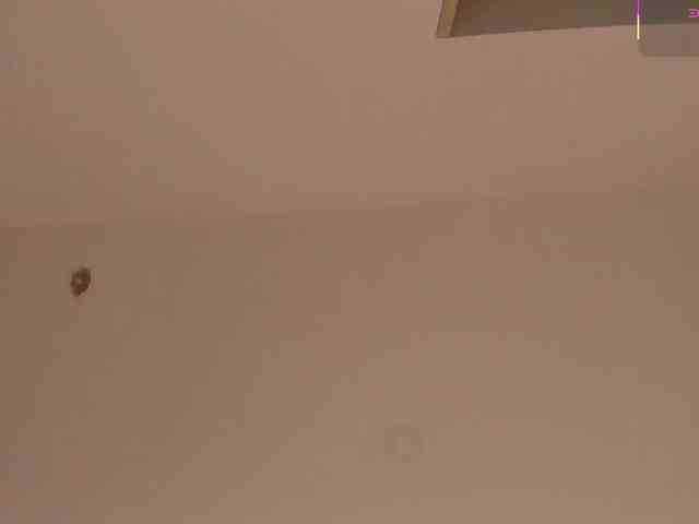Megan-Thompson1 webcam