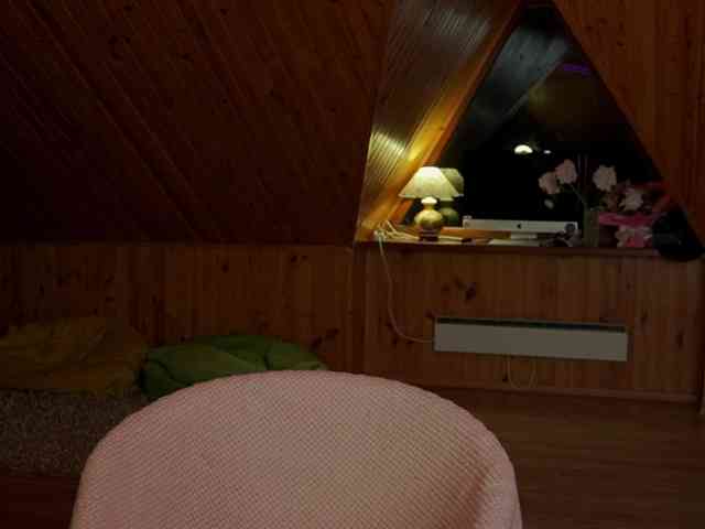 Nastyu-sha webcam