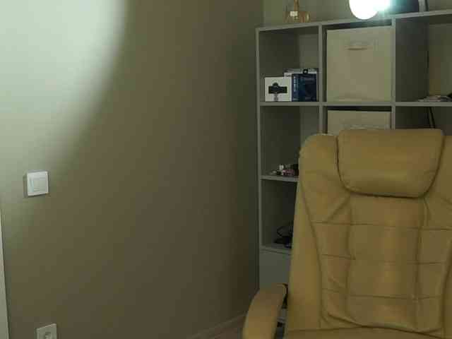Nastyu-sha webcam