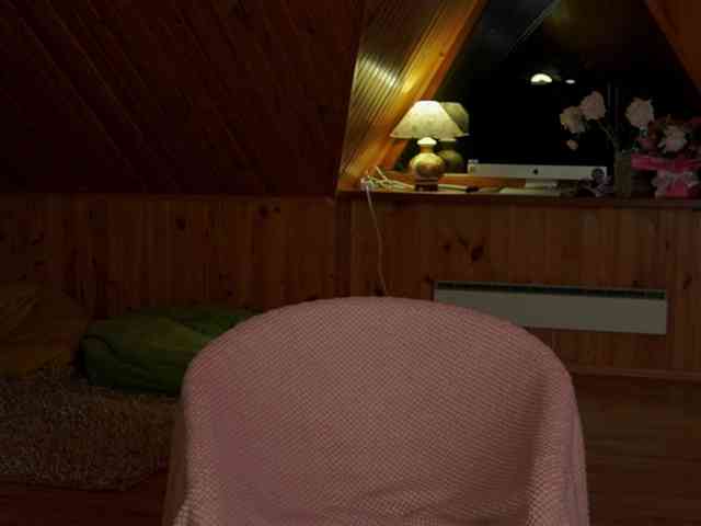 Nastyu-sha webcam