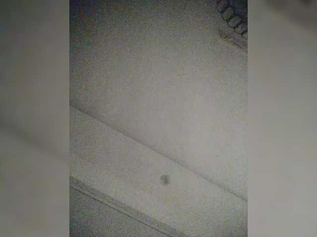 LunaBiely's BongaCams show and profile