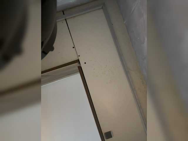 LunaBiely's BongaCams show and profile