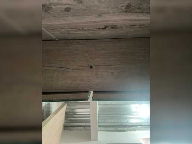 LunaBiely's BongaCams show and profile