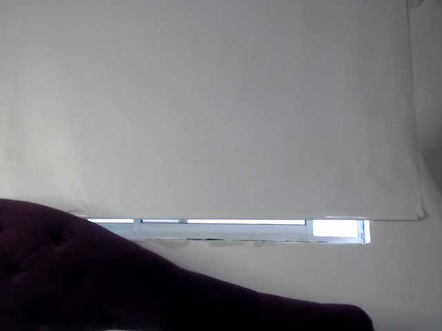 Preview of laurenchubby