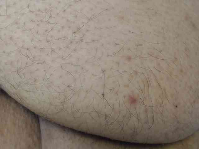 laurenchubby webcam
