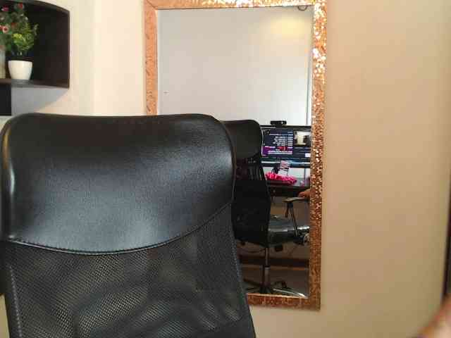 SophiHardd webcam