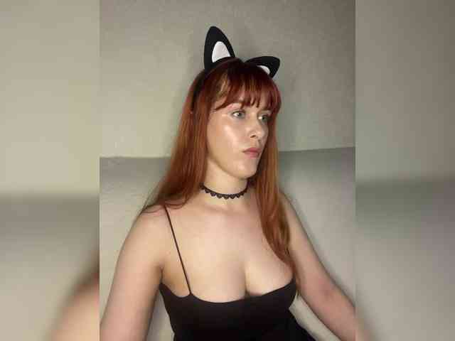 1_0 webcam