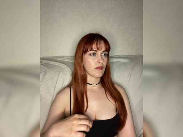 1_0 webcam