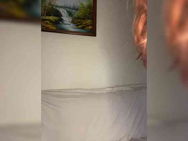 1_0 webcam